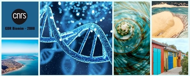 Visuel de la conférence Biomim-Santé SFNano